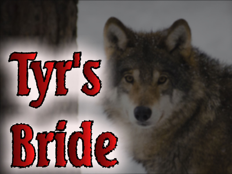 Tyr's Bride